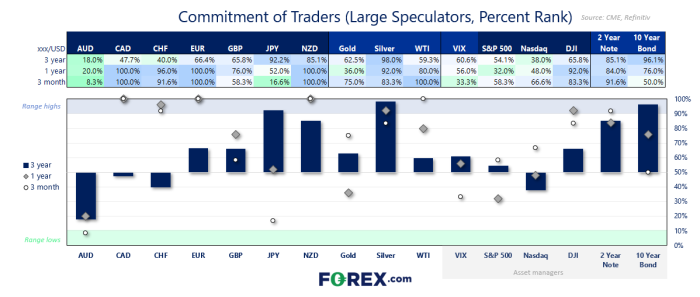 【年末特別価格】Chart Gallery5 Standard COT Report Highlights From 24 June 2025