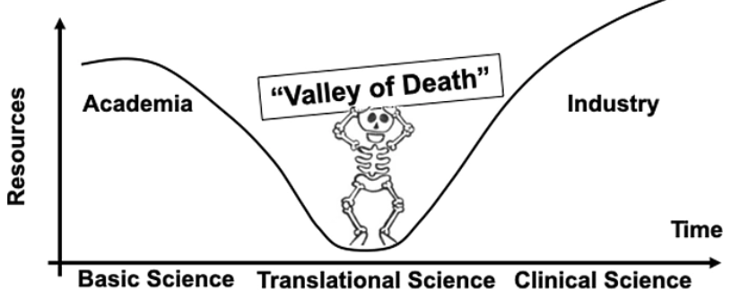 image-20240516091701-3
