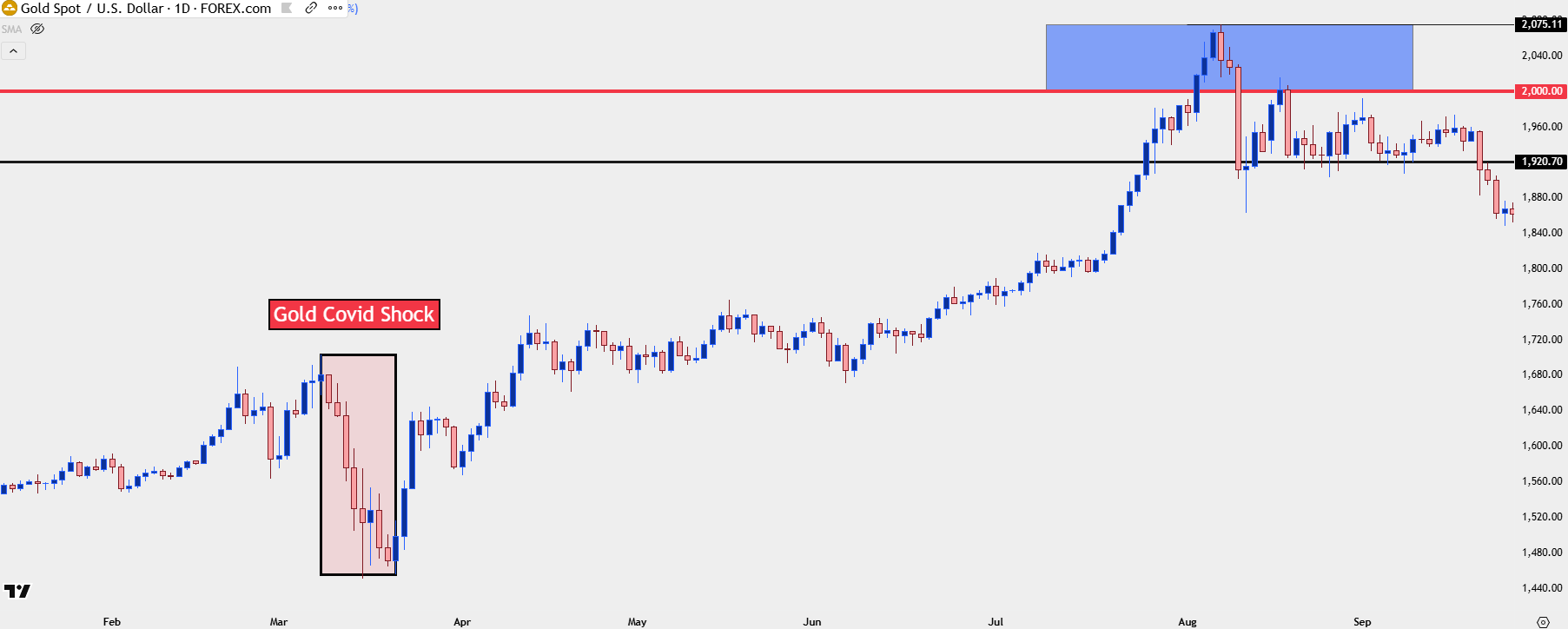 Gold Goes Parabolic Ahead of Widely Expected Rate Cut