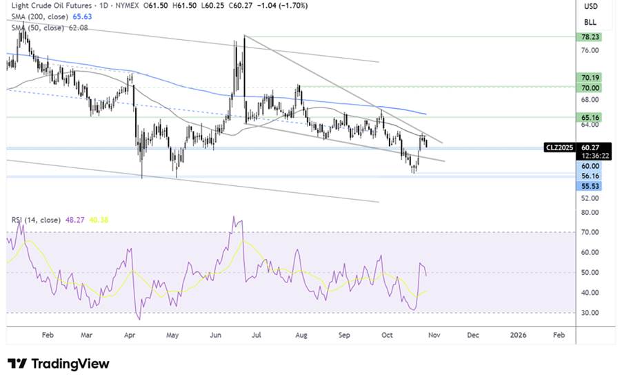 image-20251028101318-2