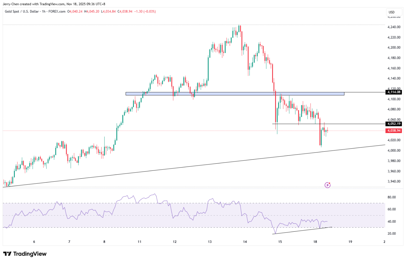 image-20251118094952-3