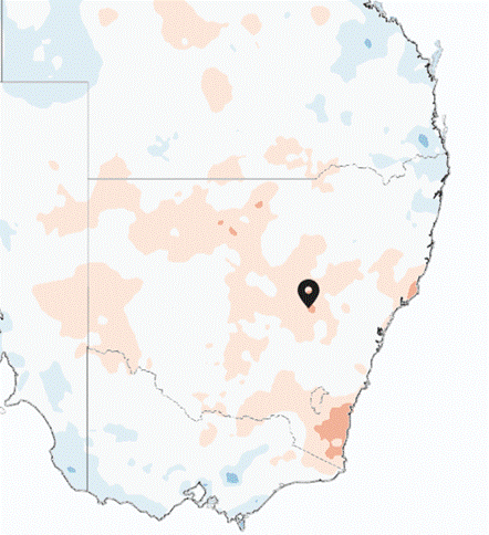 image-20251121134606-1