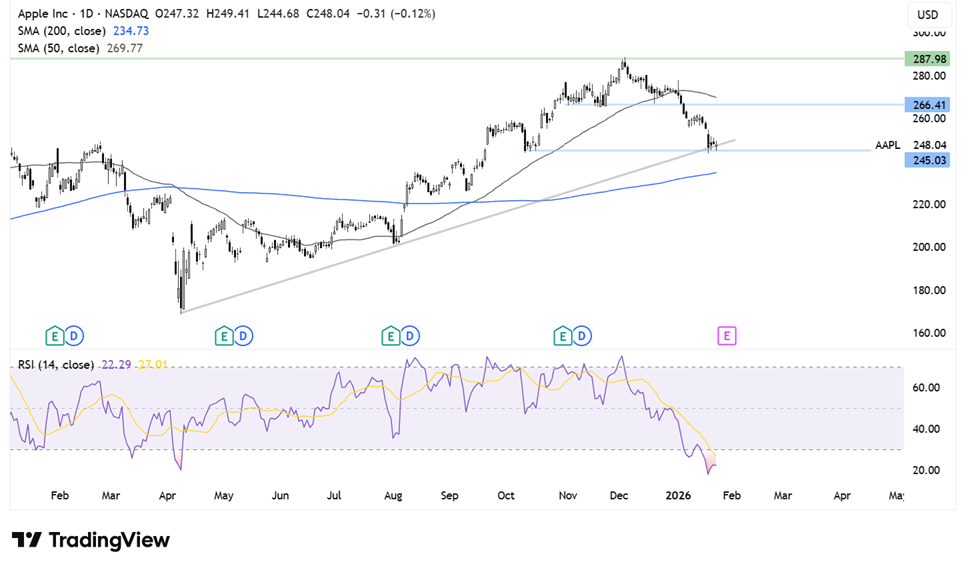 image-20260125184016-2