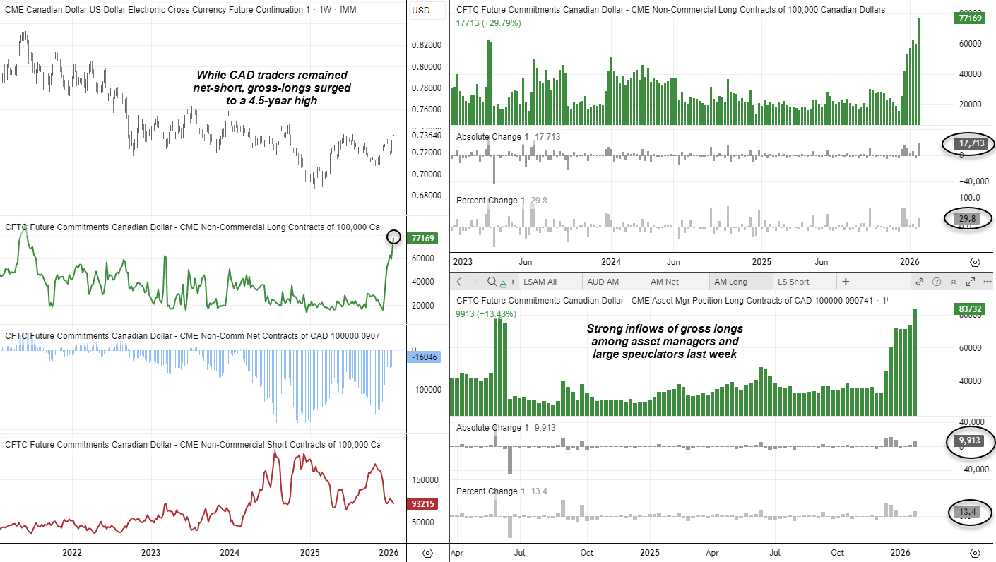 USD/CAD futures and COT positioning charts showing Canadian dollar price action alongside non-commercial and asset manager positioning, with large speculators remaining net-short while gross long positions surged to a 4.5-year high, signalling strong inflows and improving bullish sentiment in CAD futures.