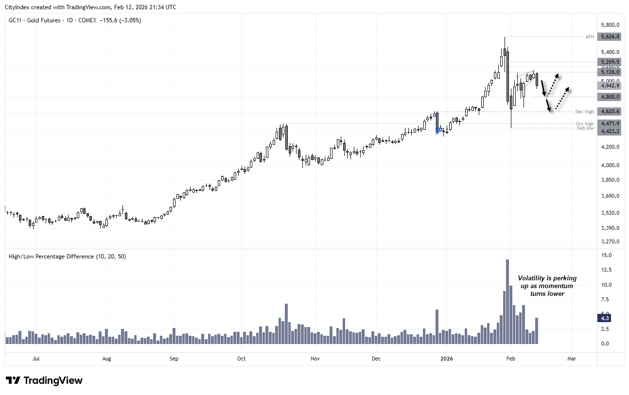Gold futures (GC) daily chart showing sharp sell-off from record highs near 5,626, with price pulling back toward 4,800 support and December high at 4,620, highlighting potential dead cat bounce within broader bullish trend.