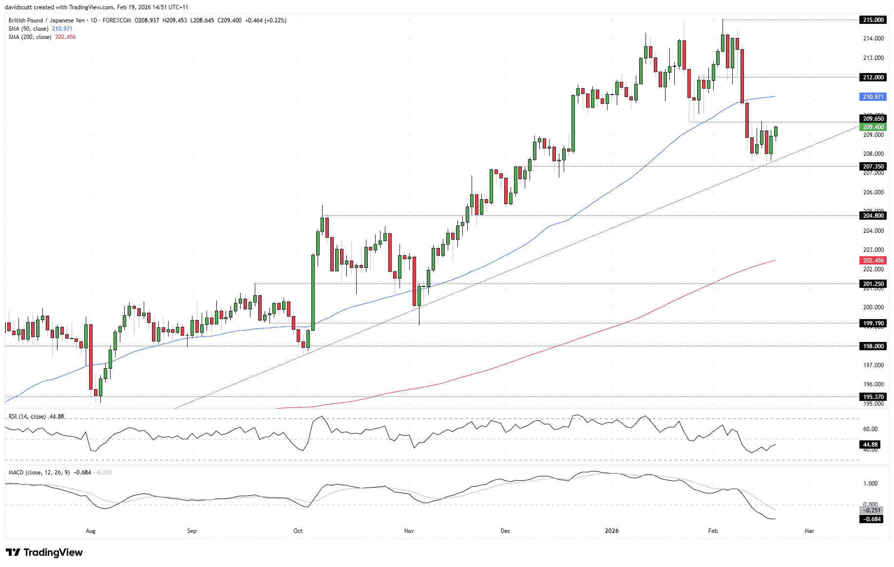 image-20260219154413-3