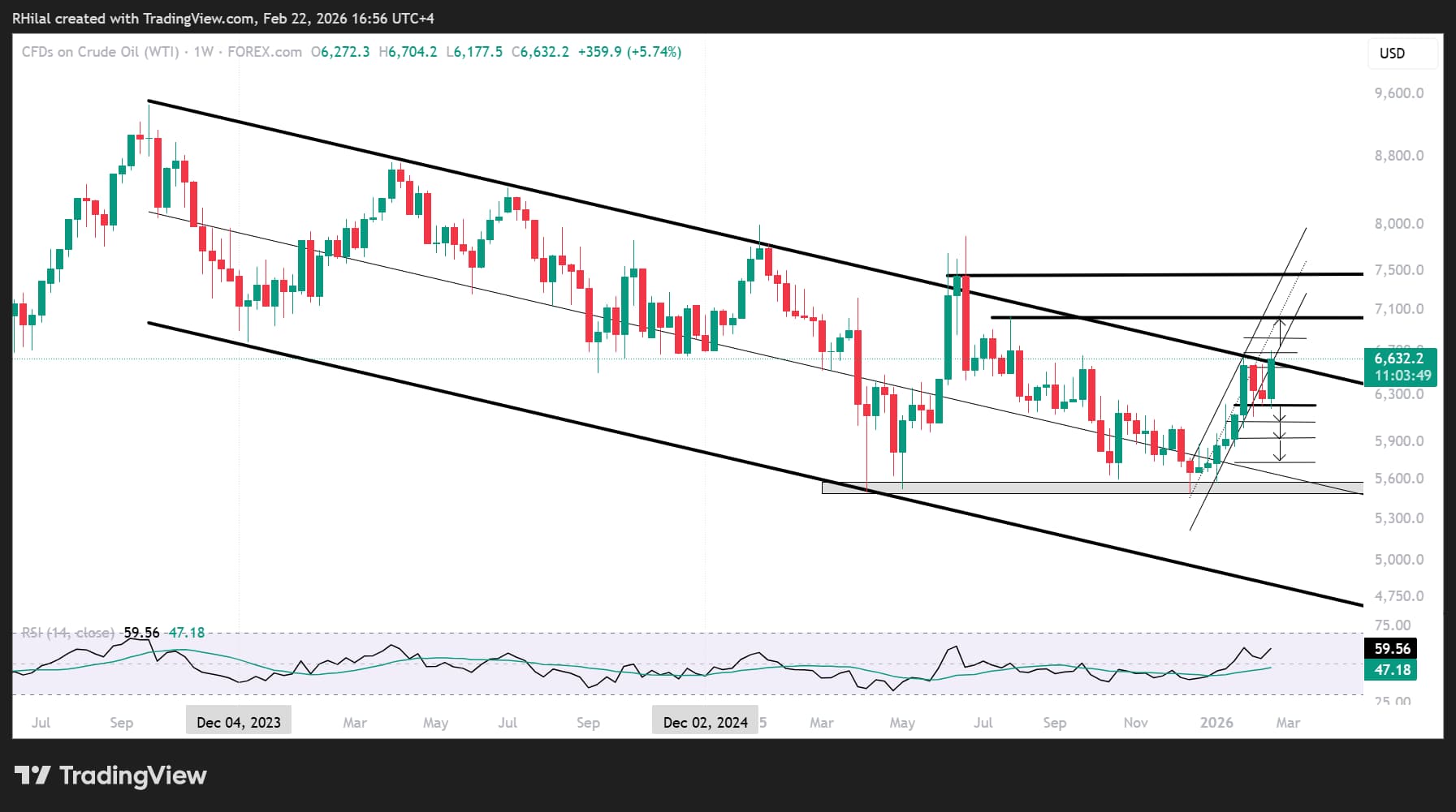 image-20260222171341-1