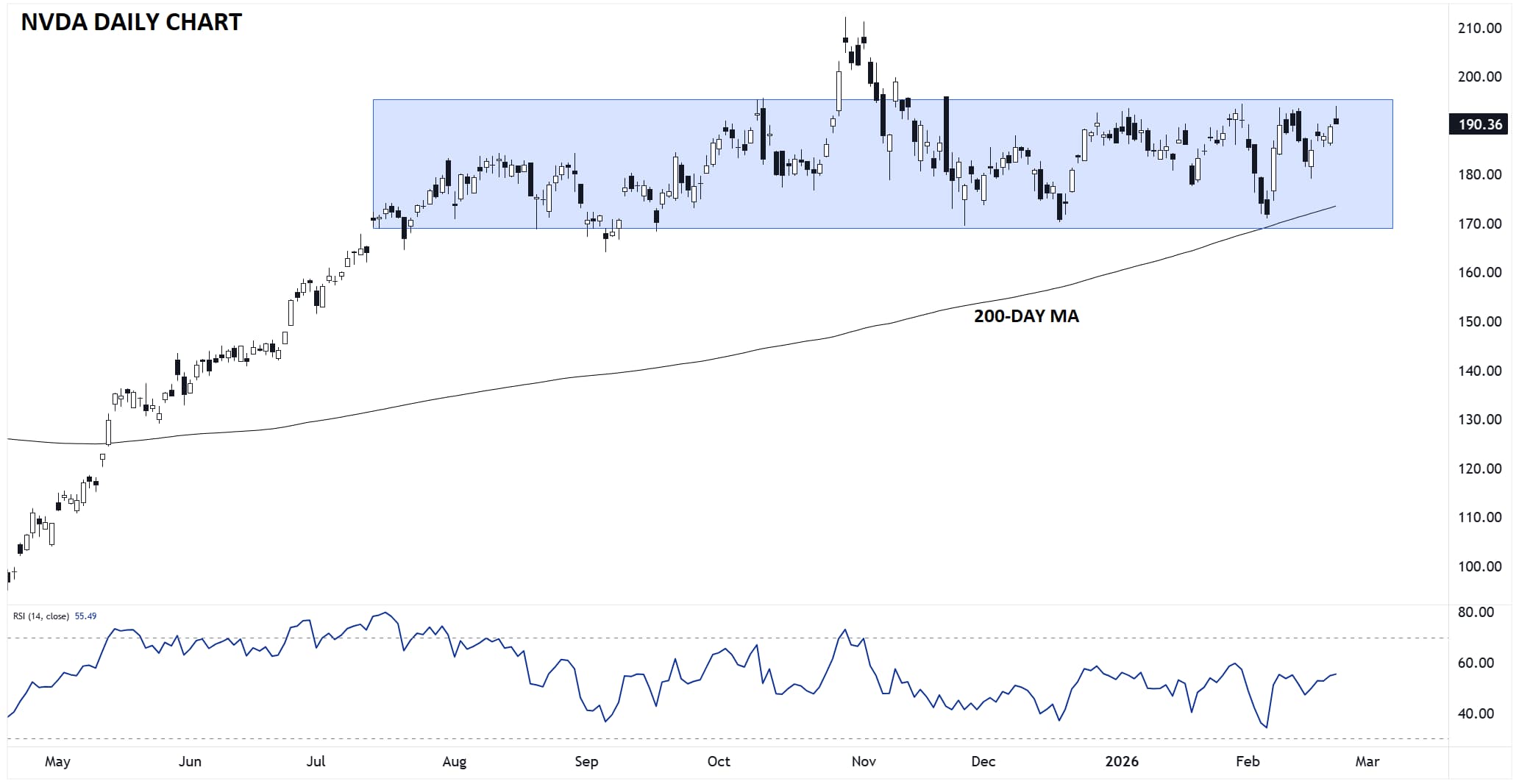 image-20260223111508-1