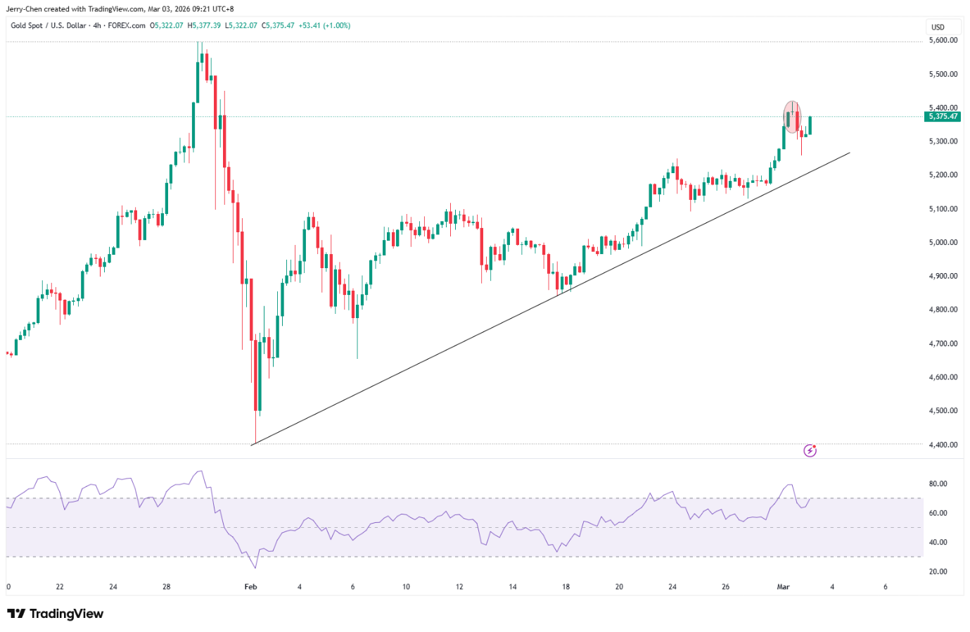 image-20260303100732-2