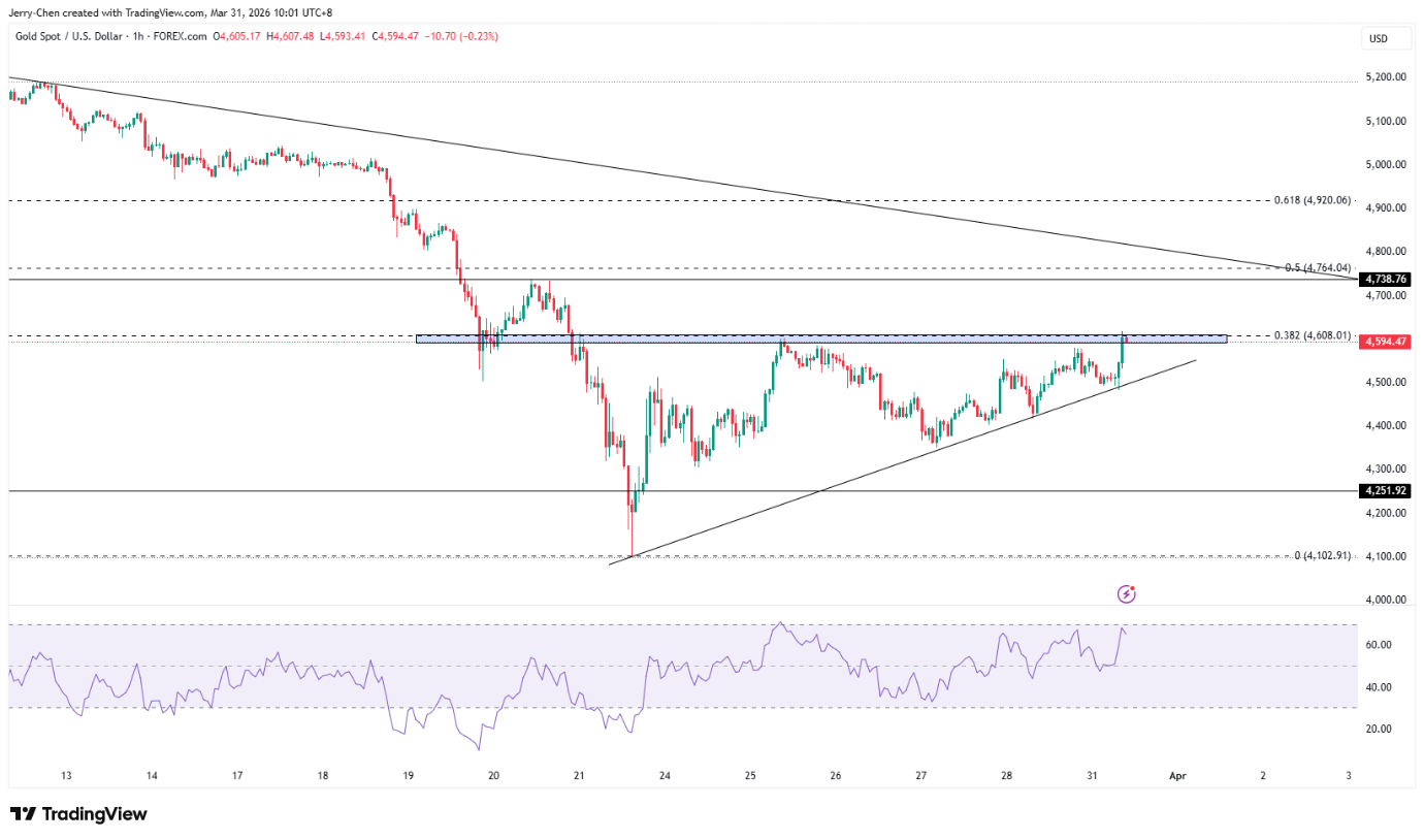 image-20260331105741-2