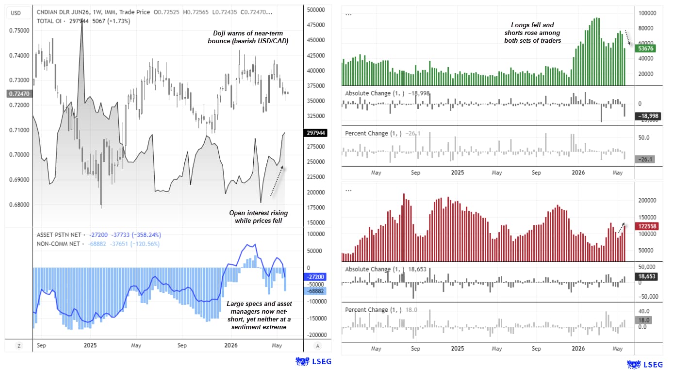 USD/CAD futures positioning analysis showing rising net-short Canadian dollar exposure among large speculators and asset managers, with increasing open interest supporting a bearish CAD outlook.