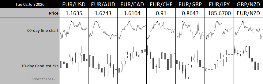 Euro price action dashboard showing EUR/USD, EUR/AUD, EUR/CAD, EUR/CHF, EUR/GBP and EUR/JPY exchange rates with 10-day candlestick charts and 60-day trend trends, highlighting relative performance of the euro against major currencies.