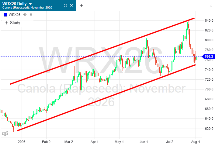 image-20260805124310-1