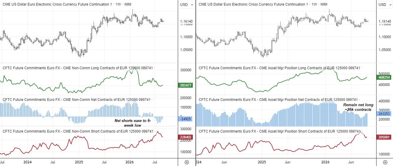 EUR/USD COT chart showing euro net positioning, longs and shorts among large speculators and asset managers versus the US dollar.