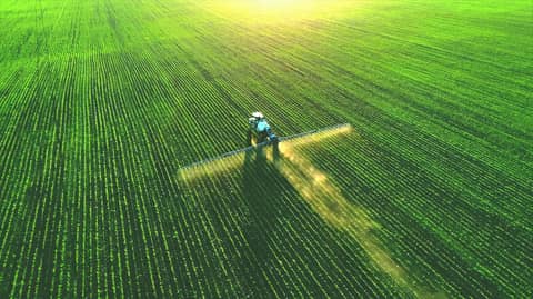 Russian Fertilizer Left the Black Sea and Found a New Vulnerability