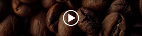 Coffee Stocks Now Matter More Than Harvests