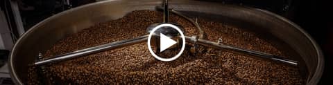 Why Brazilian Coffee Beans Hit the Ground Long Before Anyone Picks Them