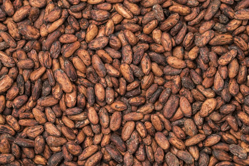 Cocoa | Rainfall Accumulation and Forecast