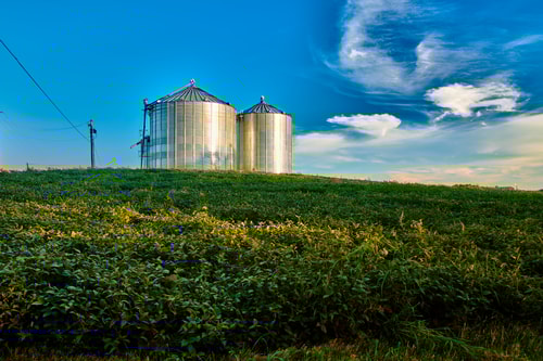 Renewable Fuels