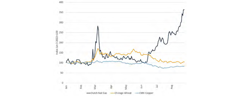 Inflation_Where_Do_We_Go_3