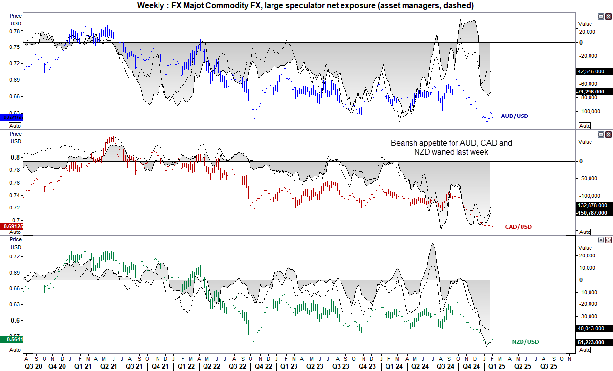 Net_Speculative_Futures_20250131cotCommodFX