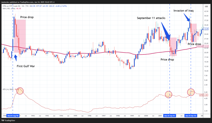 Crude Oil Analysis: WTI Crude Drops Sharply Amid Middle East Conflict